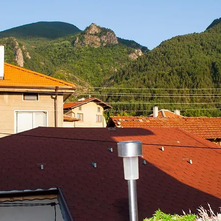 допълнителна ози 2 *