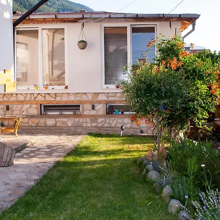 Villa допълнителна ози 2 *