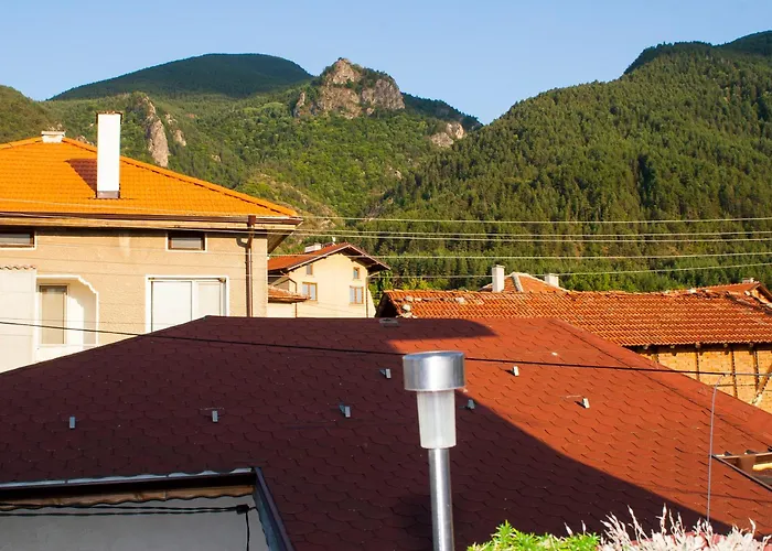 допълнителна ози 2 *